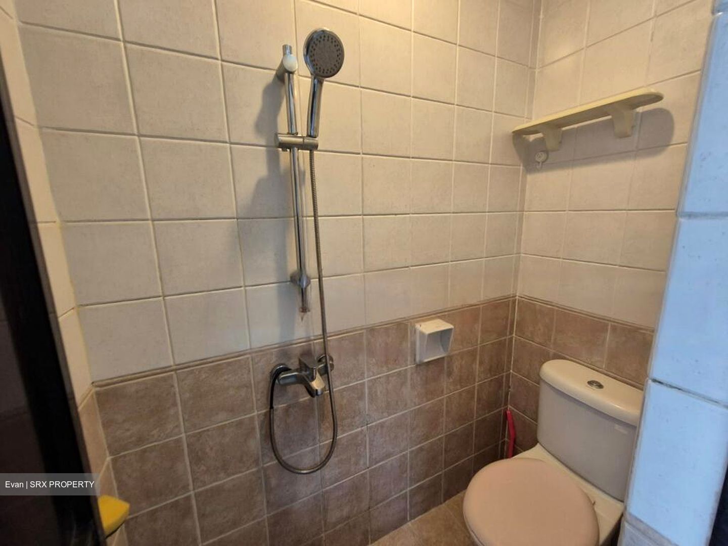 The Sunny Spring (D14), Apartment #480186051